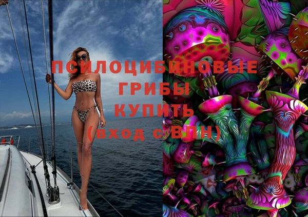 каннабис Верея